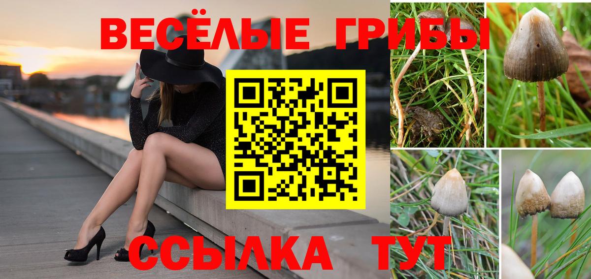 Псилоцибиновые грибы ЛСД Октябрьский